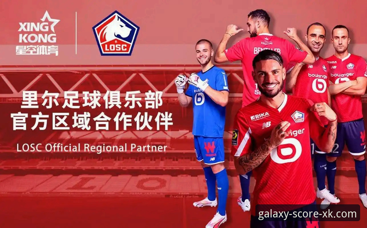 星空体育最新版本攻略详解